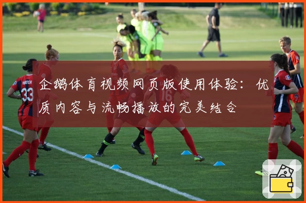 企鹅体育视频网页版使用体验：优质内容与流畅播放的完美结合