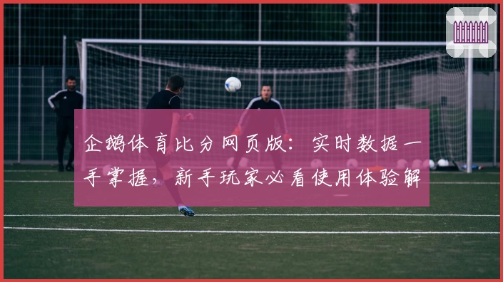企鹅体育比分网页版：实时数据一手掌握，新手玩家必看使用体验解析