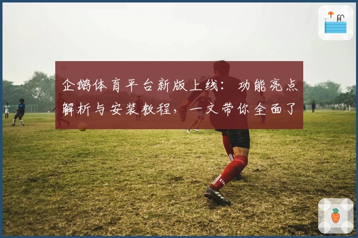 企鹅体育平台新版上线：功能亮点解析与安装教程，一文带你全面了解