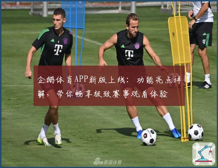 企鹅体育APP新版上线：功能亮点详解，带你畅享极致赛事观看体验