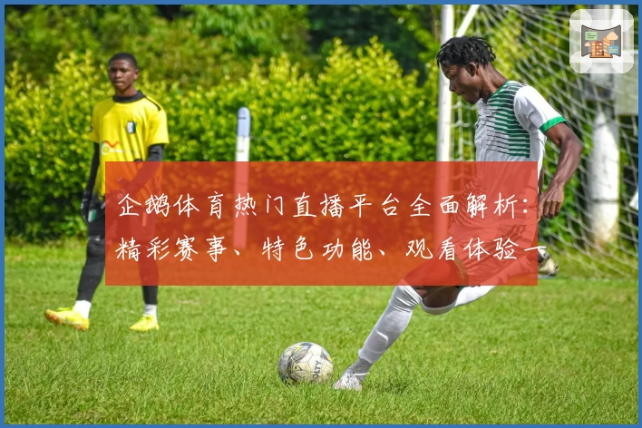 企鹅体育热门直播平台全面解析:精彩赛事、特色功能、观看体验一次了解