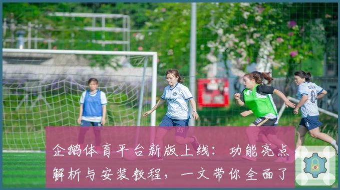 企鹅体育平台新版上线：功能亮点解析与安装教程，一文带你全面了解