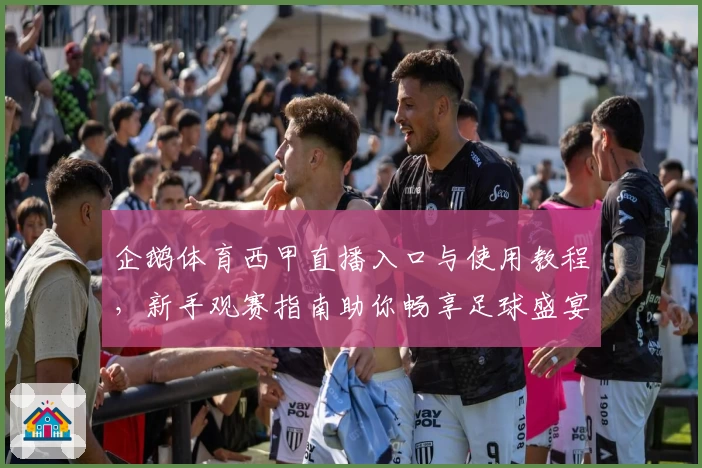企鹅体育西甲直播入口与使用教程，新手观赛指南助你畅享足球盛宴