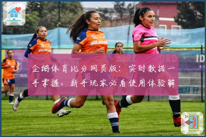 企鹅体育比分网页版：实时数据一手掌握，新手玩家必看使用体验解析