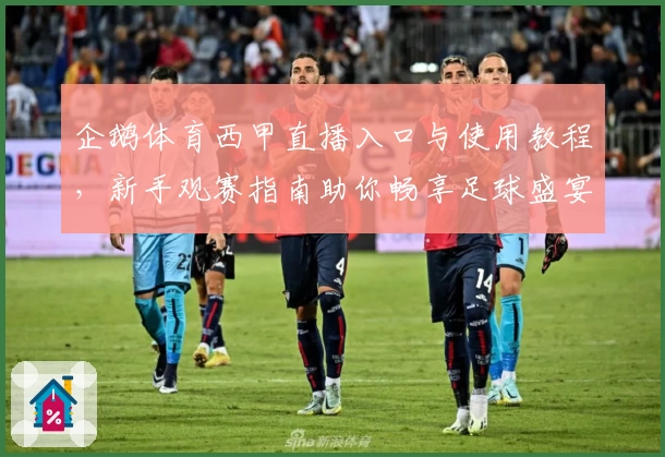 企鹅体育西甲直播入口与使用教程，新手观赛指南助你畅享足球盛宴